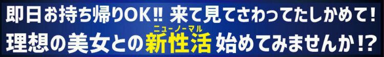 即日お持ち帰りOK！来て見てさわってたしかめて！理想の美女との新性活始めてみました