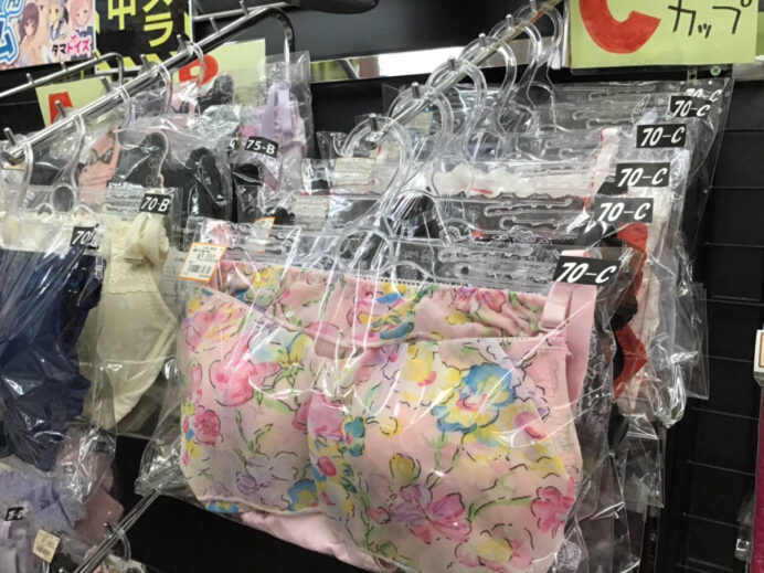 普通のランジェリー