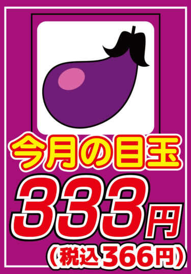 【今月の目玉は！？】野菜DVD、今月の３３３円は【ナス】！