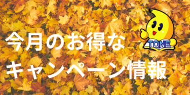 24年11月のキャンペーン情報