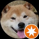 ナッツボール profile picture