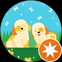 あい profile picture